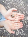 Closeup macro of child hands palms holding one little small forest garden yellow striped snail mollusc. Royalty Free Stock Photo