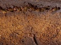 closeup macro detail of blank brown bread texture background Royalty Free Stock Photo