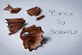 Closeup macro detail of pencil sharpener wooden swirl shavings on white paper background with written text spelling back to school Royalty Free Stock Photo
