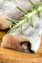 Closeup macro fresh hake fish with rosemary branches Royalty Free Stock Photo