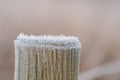 Closeup or macro of a frozen wooden pole