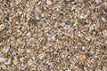 Closeup macro high detail of sea beach sand