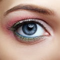 Closeup macro image of human woman eye with pink and green makeup Royalty Free Stock Photo