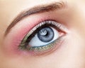 Closeup macro image of human woman eye with pink and green makeup Royalty Free Stock Photo
