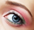 Closeup macro image of human woman eye with pink and green makeup Royalty Free Stock Photo