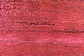 Closeup macro of old dried cracked red paint on outdoor wooden wall structure. Royalty Free Stock Photo