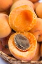 Closeup macro opened fresh apricots in the bowl.