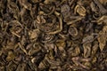 Closeup macro photo of dry loose green herbal tea leaves textured background Royalty Free Stock Photo