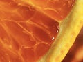 Closeup macro photo of orange pulp Royalty Free Stock Photo