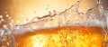 Closeup macro photography of amber liquid beer with foamy head Royalty Free Stock Photo