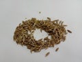 Closeup macro picture of cumin seeds widely known as jeera jira in India