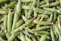 Closeup macro pile of fresh green peas ready for cleaning