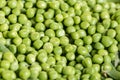 Closeup macro pile of fresh green peas ready for cleaning