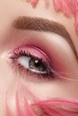 Closeup Macro of Pink Fashion Eye Make-up. Expressive Makeup, Bright Summer Eyeshadows and Magenta Color Hair Royalty Free Stock Photo