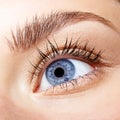 Closeup macro portrait of female face. Human woman blue eye with Royalty Free Stock Photo