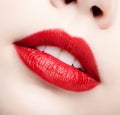 Closeup macro portrait of female part of face. Human woman lips