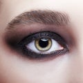 Closeup macro portrait of human female eye with violet - black smoky eyes make-up Royalty Free Stock Photo