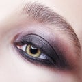 Closeup macro portrait of human female eye with violet - black smoky eyes make-up Royalty Free Stock Photo