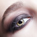 Closeup macro portrait of human female eye with violet - black smoky eyes make-up