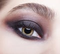 Closeup macro portrait of human female eye with violet - black smoky eyes make-up Royalty Free Stock Photo