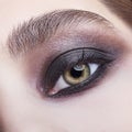 Closeup macro portrait of human female eye with violet - black smoky eyes make-up Royalty Free Stock Photo