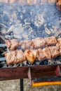 Meat roasted barbecue on grill fire Royalty Free Stock Photo