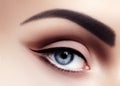 Closeup Macro of Sexy Woman Eyes with Evening Fashion Make-up. Black Liner and Strong Brows. Retro Diva Style Eye Makeup