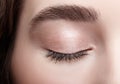 Closeup macro shot of closed female eye. Woman eye with nude makeup and long lashes Royalty Free Stock Photo