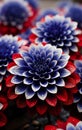 Closeup macro shot featuring a stunning combination of blue, white, and purple flowers.