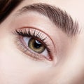 Female eye zone and brows with day nude makeup Royalty Free Stock Photo