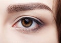 Closeup macro shot of  human brown female eye. Woman with natural nude face beauty makeup Royalty Free Stock Photo