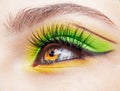 Closeup macro shot of human female eye with green and yellow eyes shadows Royalty Free Stock Photo