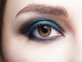 Closeup macro shot of  human female eye. Woman with natural evening vogue face beauty makeup Royalty Free Stock Photo