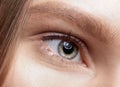 Closeup macro shot of  human female eye Royalty Free Stock Photo