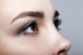 Closeup macro shot of human female face on gray background. Wo