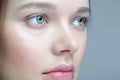 Closeup macro shot of human female face. Woman with blue eyes and natural face beauty makeup Royalty Free Stock Photo