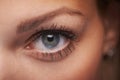 Closeup macro shot of human teenager female eye. Woman with natural face beauty makeup. Royalty Free Stock Photo