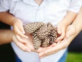 Closeup macro shot image of child with mother parent holding a bunch of pine cones