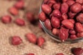 Closeup Macro Shot of Red Peanuts