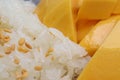 Closeup macro shot of yellow mango with sticky rice, thai sweet food Royalty Free Stock Photo