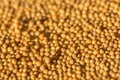 Closeup macro shot of yellow mustard seed Royalty Free Stock Photo