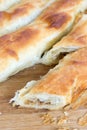 Closeup macro slice of burek with meat Royalty Free Stock Photo