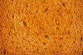 Closeup macro of toasted bread slice Royalty Free Stock Photo