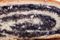 Closeup macro view strudel with poppy seeds Royalty Free Stock Photo