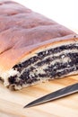 Closeup macro view strudel with poppy seeds Royalty Free Stock Photo