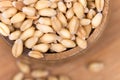 Closeup macro wheat grains background agriculture