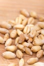 Closeup macro wheat grains background agriculture