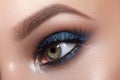 Closeup Macro of Woman Face with Blue Eyes Make-up. Fashion Celebrate Makeup, Glowy Clean Skin, perfect Shapes of Brows Royalty Free Stock Photo