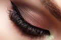 Closeup Macro of Woman Face with Eyes Make-up. Fashion Celebrate Makeup, Glowy Clean Skin, Extra Long Eyelashes