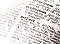 Closeup of the dictionary definition of the word project